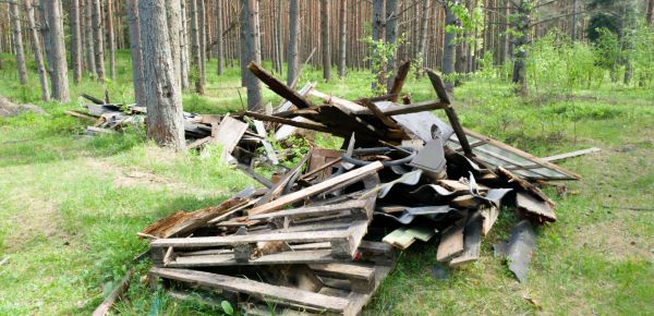 Debris Removal Service in Lima