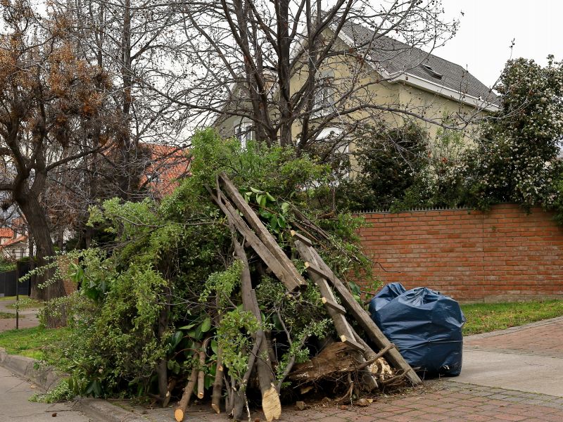 Yard Waste Collection Services